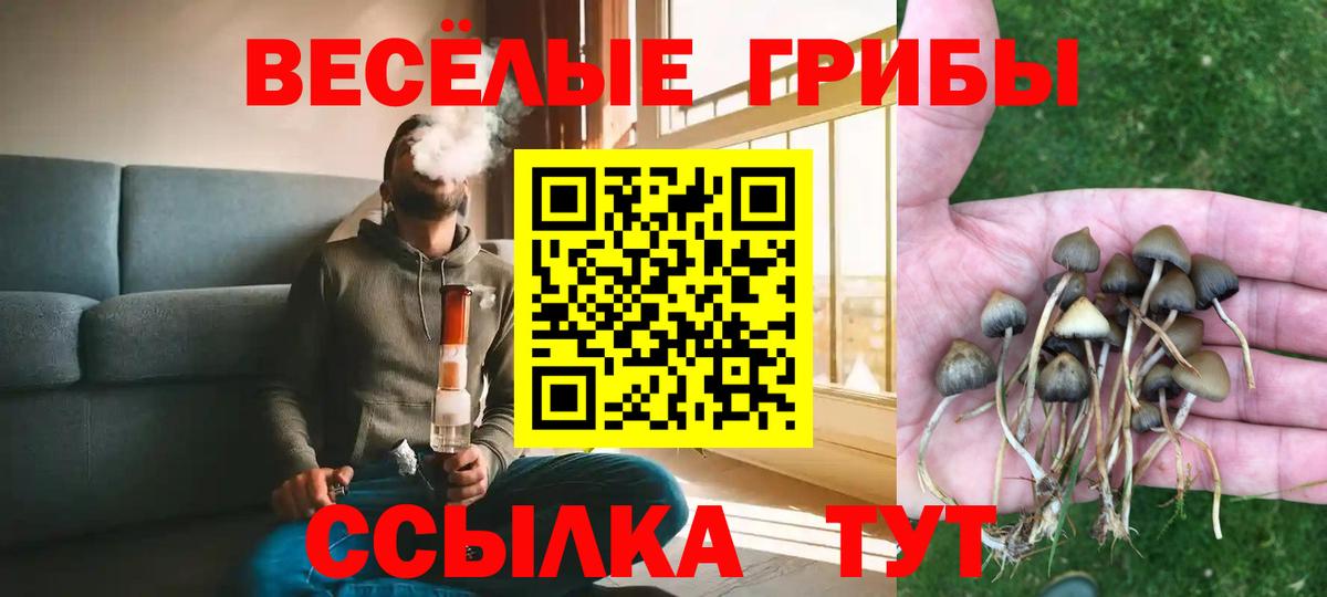 Галлюциногенные грибы GOLDEN TEACHER  Галлюциногенные грибы Psilocybine cubensis  Кировск  Вход с VPN 